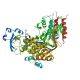 Insight in DNA Replication: The crystal structure of DNA Polymerase B1 from the archaeon Sulfolobus solfataricus.